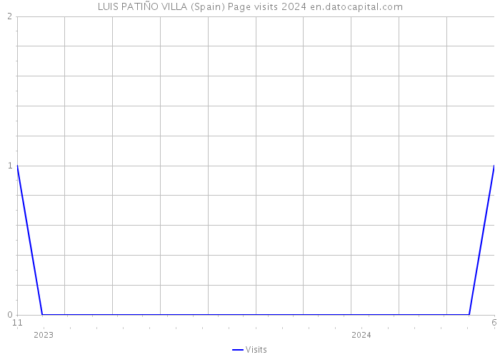 LUIS PATIÑO VILLA (Spain) Page visits 2024 