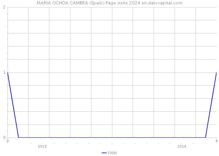MARIA OCHOA CAMBRA (Spain) Page visits 2024 
