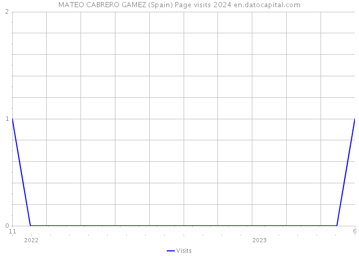 MATEO CABRERO GAMEZ (Spain) Page visits 2024 