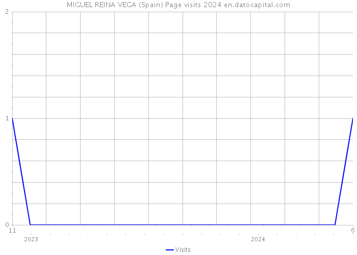 MIGUEL REINA VEGA (Spain) Page visits 2024 