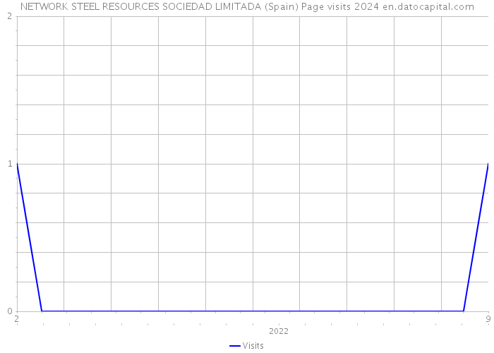 NETWORK STEEL RESOURCES SOCIEDAD LIMITADA (Spain) Page visits 2024 