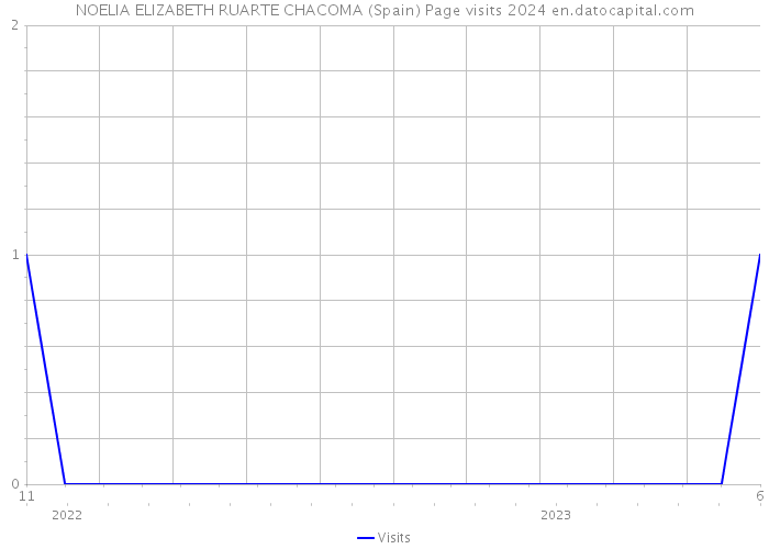 NOELIA ELIZABETH RUARTE CHACOMA (Spain) Page visits 2024 