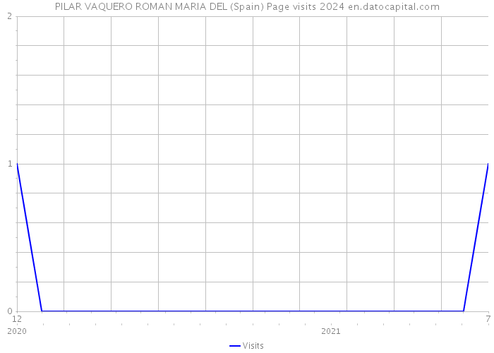 PILAR VAQUERO ROMAN MARIA DEL (Spain) Page visits 2024 