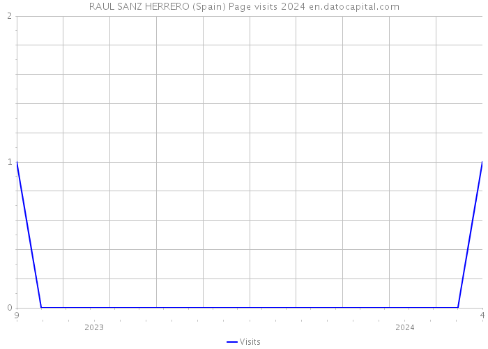 RAUL SANZ HERRERO (Spain) Page visits 2024 