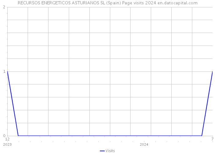 RECURSOS ENERGETICOS ASTURIANOS SL (Spain) Page visits 2024 