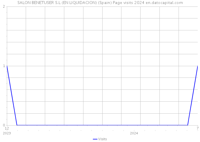 SALON BENETUSER S.L (EN LIQUIDACION) (Spain) Page visits 2024 