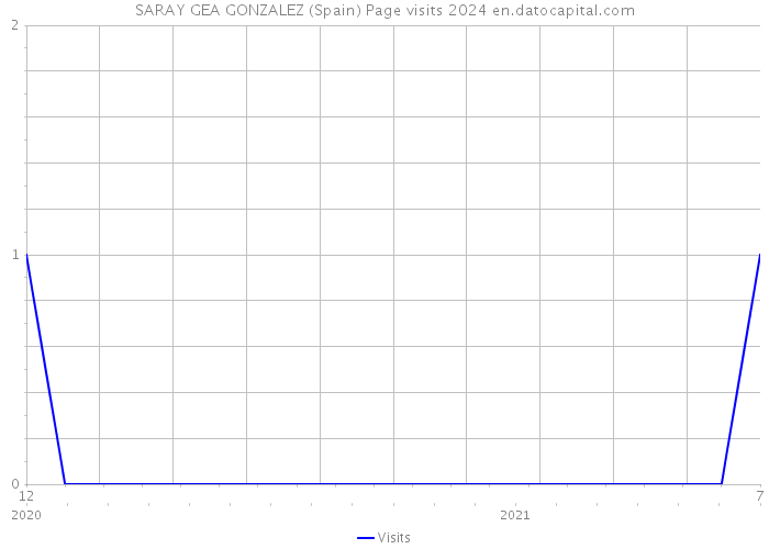SARAY GEA GONZALEZ (Spain) Page visits 2024 