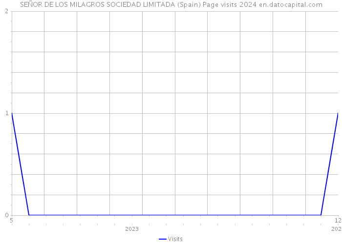 SEÑOR DE LOS MILAGROS SOCIEDAD LIMITADA (Spain) Page visits 2024 