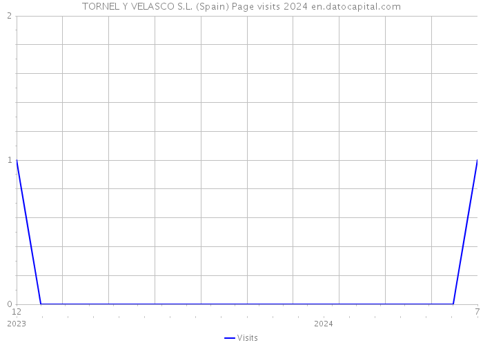 TORNEL Y VELASCO S.L. (Spain) Page visits 2024 