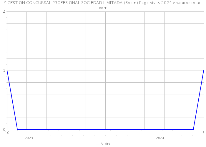 Y GESTION CONCURSAL PROFESIONAL SOCIEDAD LIMITADA (Spain) Page visits 2024 