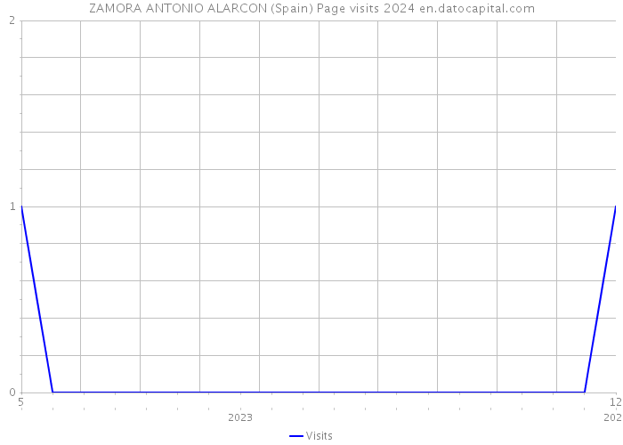 ZAMORA ANTONIO ALARCON (Spain) Page visits 2024 