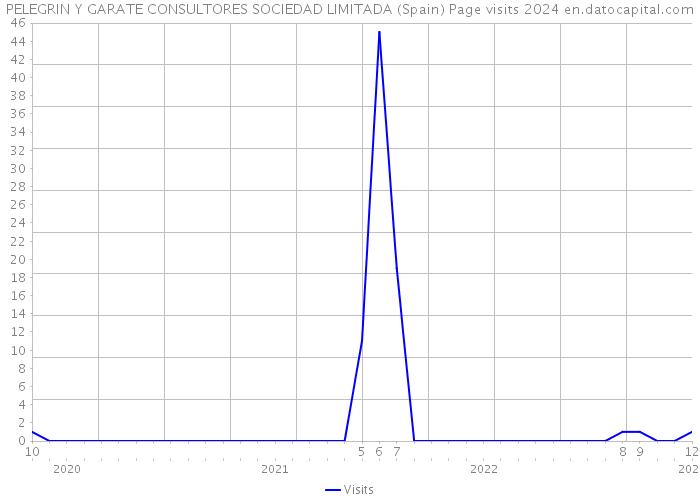 PELEGRIN Y GARATE CONSULTORES SOCIEDAD LIMITADA (Spain) Page visits 2024 