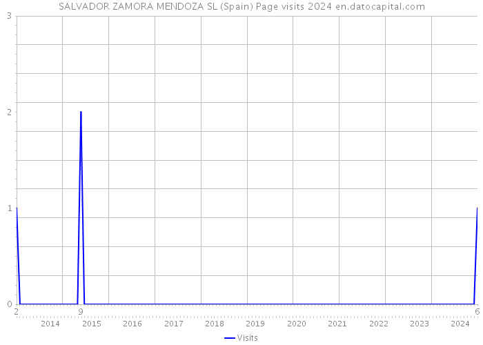 SALVADOR ZAMORA MENDOZA SL (Spain) Page visits 2024 