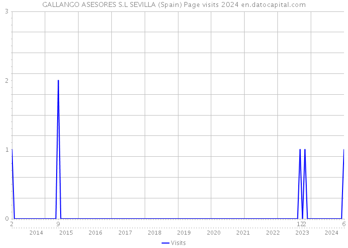 GALLANGO ASESORES S.L SEVILLA (Spain) Page visits 2024 