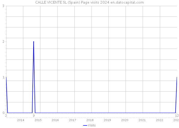 CALLE VICENTE SL (Spain) Page visits 2024 