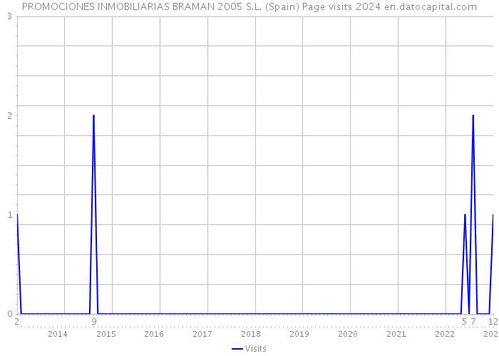 PROMOCIONES INMOBILIARIAS BRAMAN 2005 S.L. (Spain) Page visits 2024 
