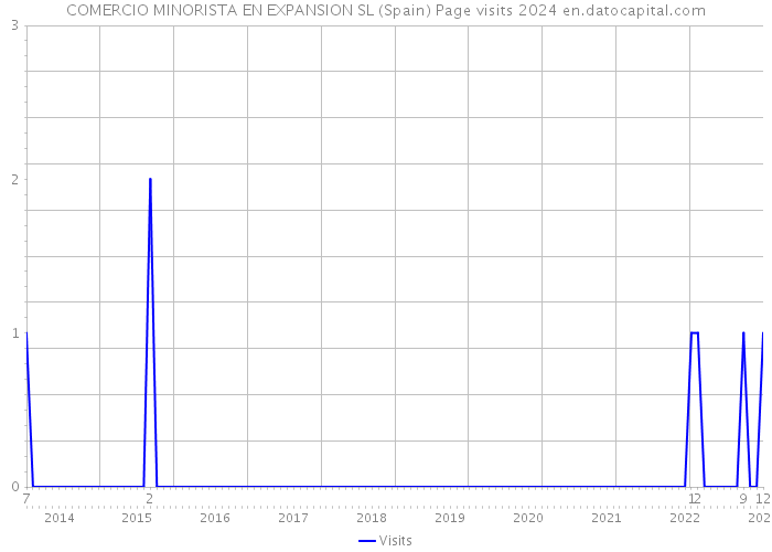 COMERCIO MINORISTA EN EXPANSION SL (Spain) Page visits 2024 