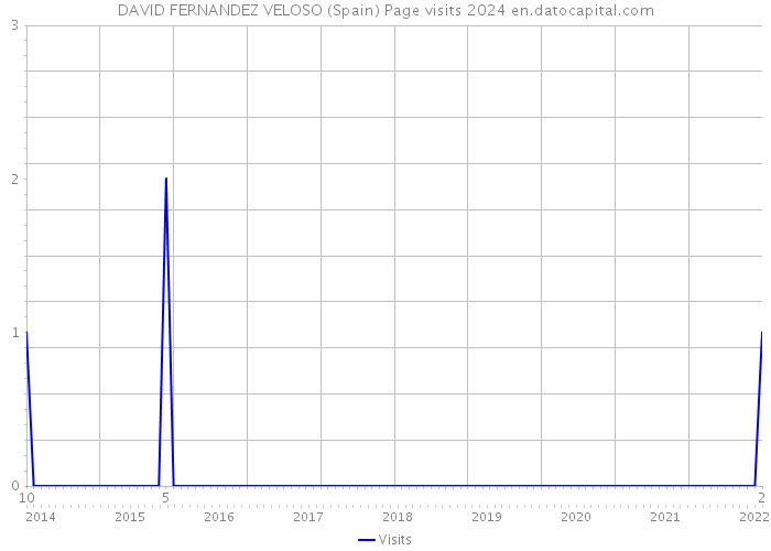 DAVID FERNANDEZ VELOSO (Spain) Page visits 2024 