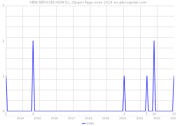 NEW SERVICES NOW S.L. (Spain) Page visits 2024 