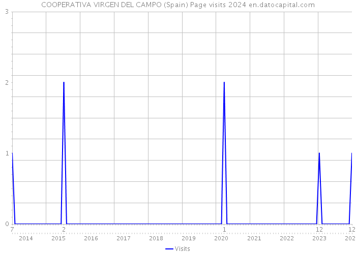 COOPERATIVA VIRGEN DEL CAMPO (Spain) Page visits 2024 
