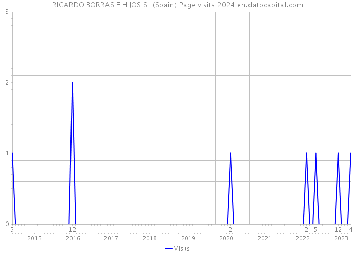 RICARDO BORRAS E HIJOS SL (Spain) Page visits 2024 