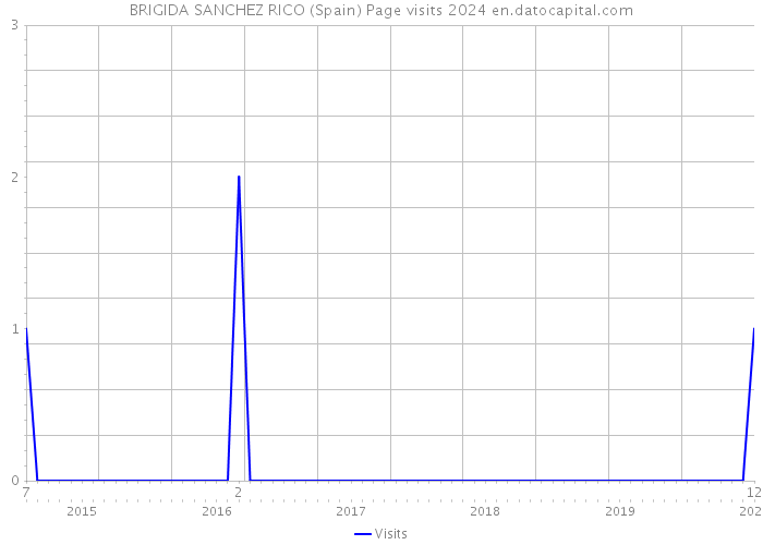 BRIGIDA SANCHEZ RICO (Spain) Page visits 2024 