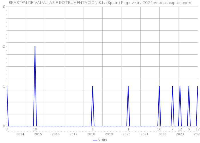 BRASTEM DE VALVULAS E INSTRUMENTACION S.L. (Spain) Page visits 2024 