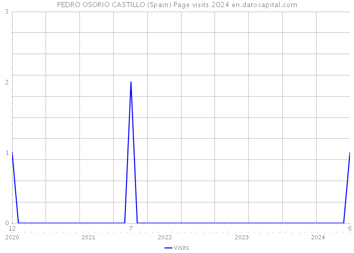 PEDRO OSORIO CASTILLO (Spain) Page visits 2024 