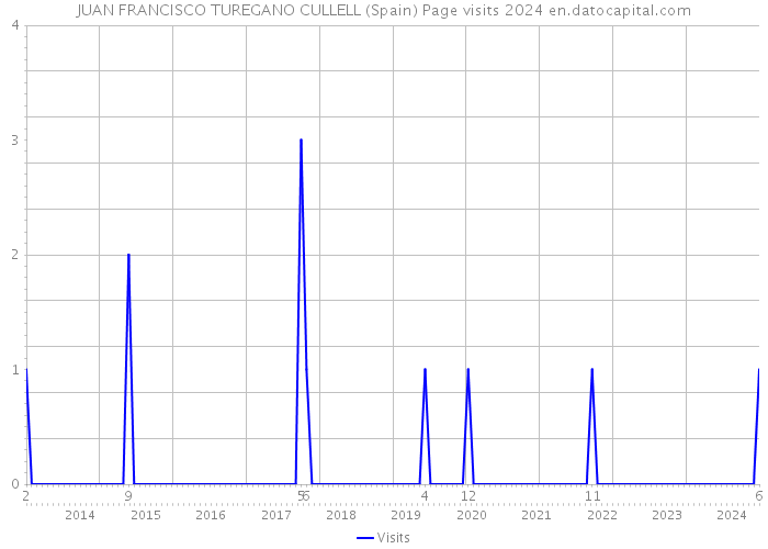 JUAN FRANCISCO TUREGANO CULLELL (Spain) Page visits 2024 