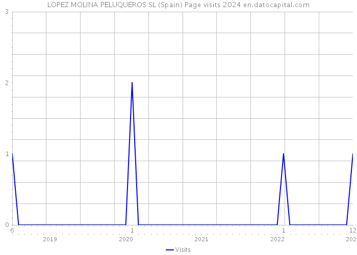 LOPEZ MOLINA PELUQUEROS SL (Spain) Page visits 2024 