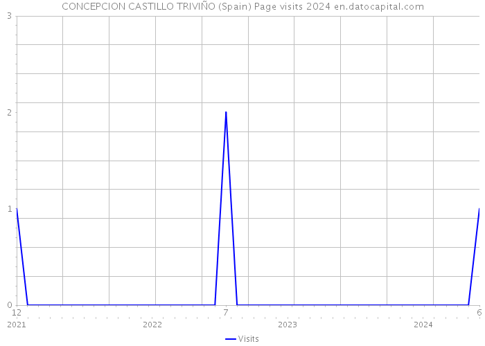 CONCEPCION CASTILLO TRIVIÑO (Spain) Page visits 2024 