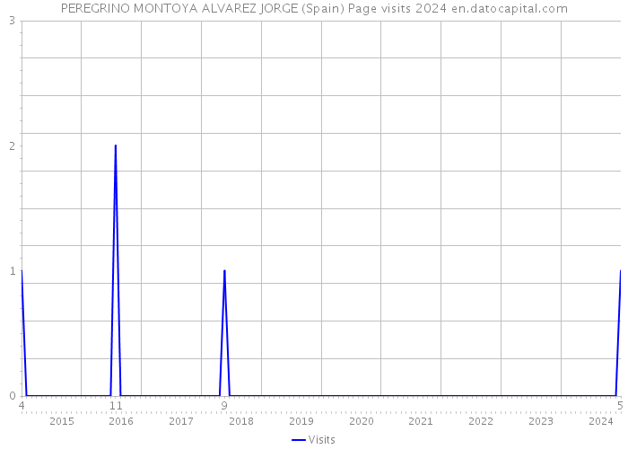 PEREGRINO MONTOYA ALVAREZ JORGE (Spain) Page visits 2024 