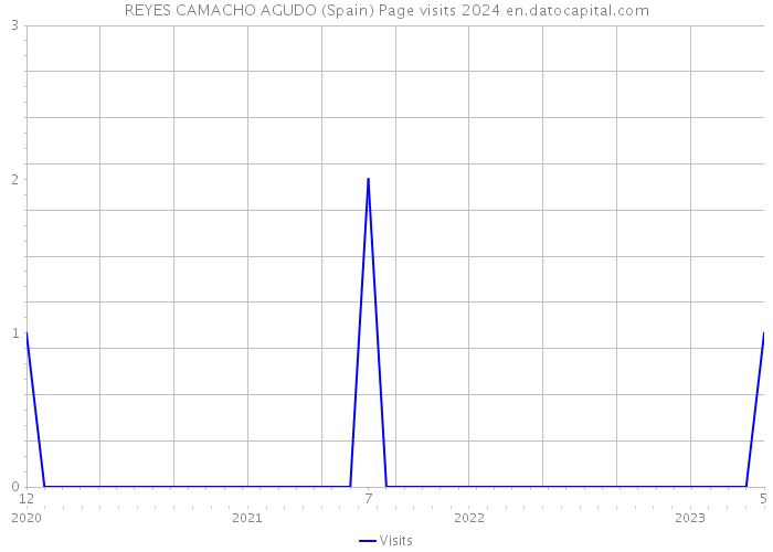 REYES CAMACHO AGUDO (Spain) Page visits 2024 