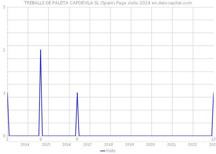 TREBALLS DE PALETA CAPDEVILA SL (Spain) Page visits 2024 
