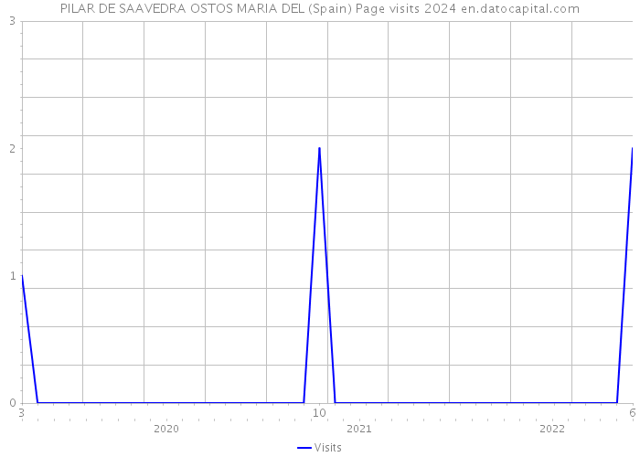 PILAR DE SAAVEDRA OSTOS MARIA DEL (Spain) Page visits 2024 