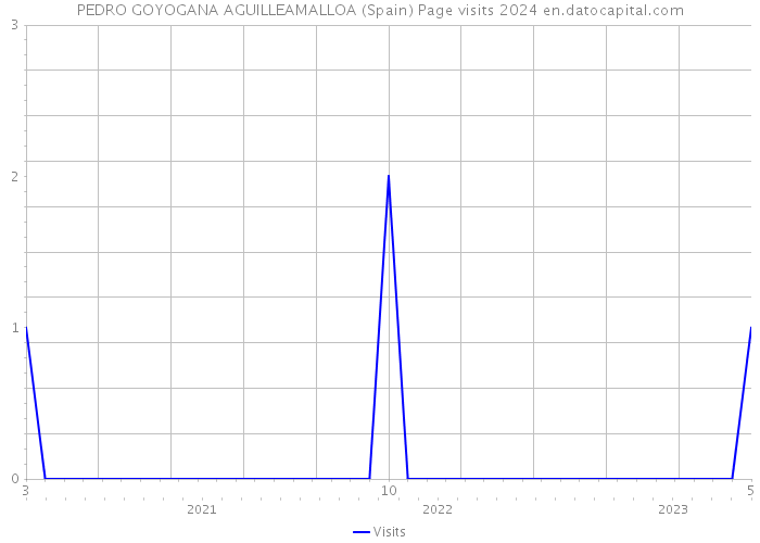 PEDRO GOYOGANA AGUILLEAMALLOA (Spain) Page visits 2024 