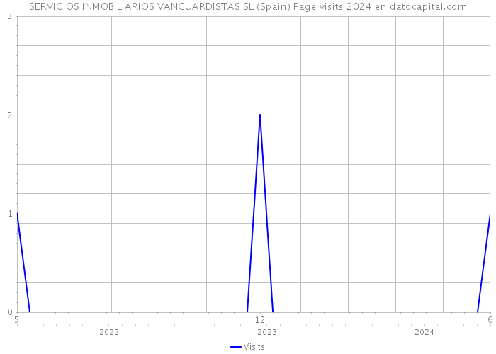 SERVICIOS INMOBILIARIOS VANGUARDISTAS SL (Spain) Page visits 2024 