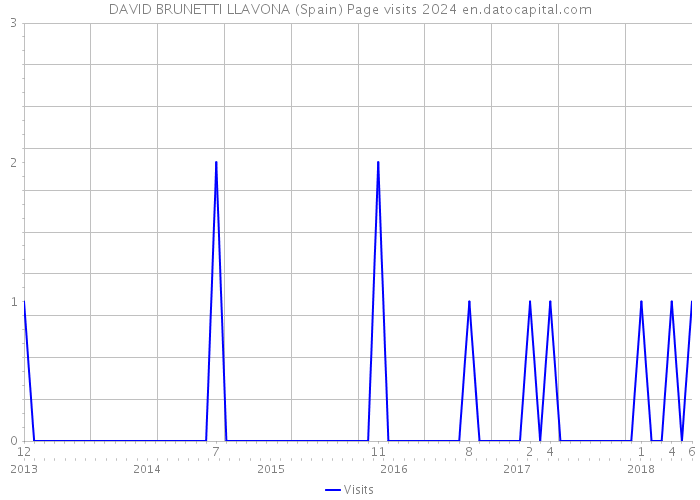 DAVID BRUNETTI LLAVONA (Spain) Page visits 2024 