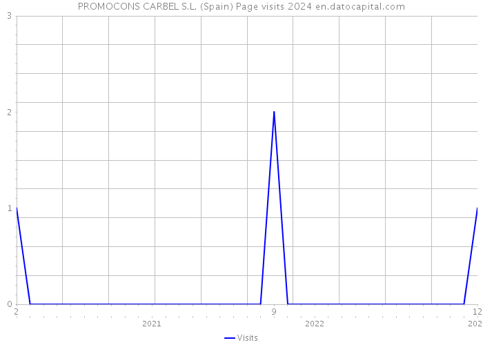 PROMOCONS CARBEL S.L. (Spain) Page visits 2024 