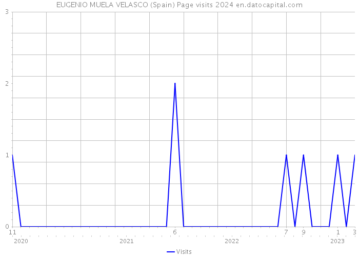 EUGENIO MUELA VELASCO (Spain) Page visits 2024 