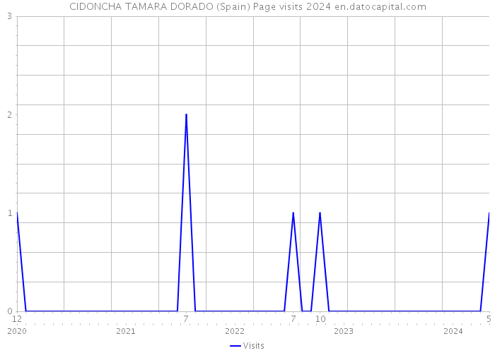CIDONCHA TAMARA DORADO (Spain) Page visits 2024 