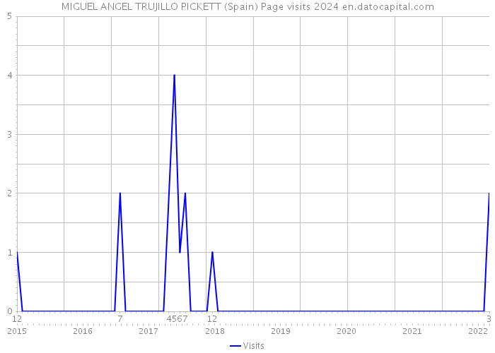 MIGUEL ANGEL TRUJILLO PICKETT (Spain) Page visits 2024 