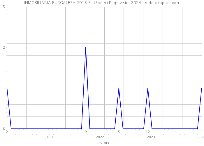 INMOBILIARIA BURGALESA 2015 SL (Spain) Page visits 2024 