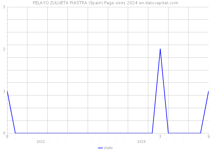 PELAYO ZULUETA PIASTRA (Spain) Page visits 2024 