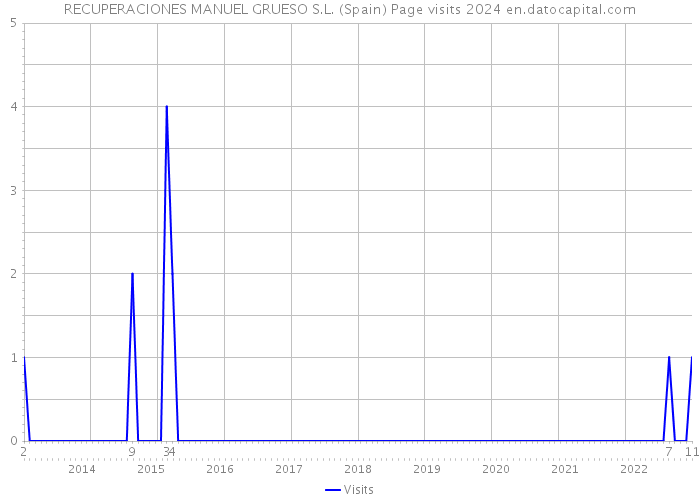 RECUPERACIONES MANUEL GRUESO S.L. (Spain) Page visits 2024 