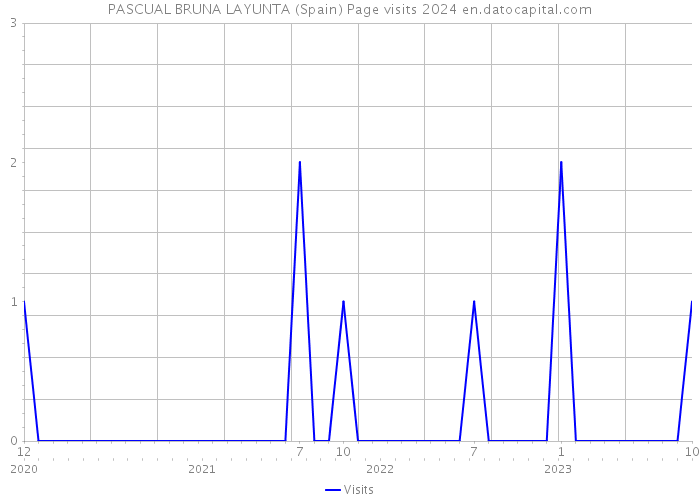 PASCUAL BRUNA LAYUNTA (Spain) Page visits 2024 