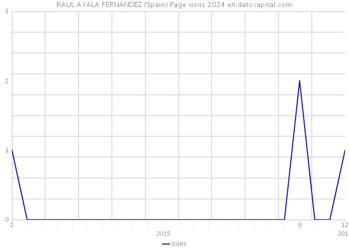 RAUL AYALA FERNANDEZ (Spain) Page visits 2024 