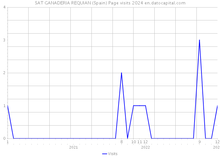SAT GANADERIA REQUIAN (Spain) Page visits 2024 