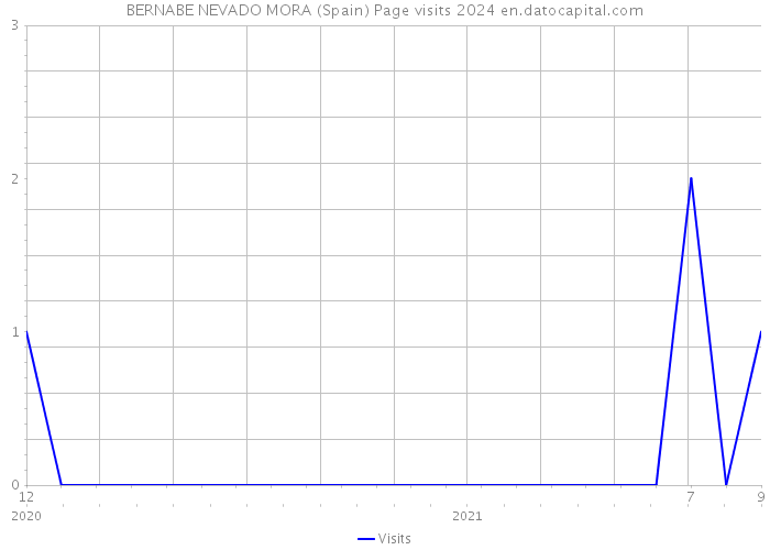 BERNABE NEVADO MORA (Spain) Page visits 2024 