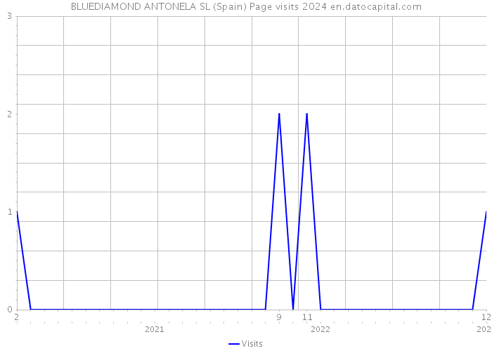 BLUEDIAMOND ANTONELA SL (Spain) Page visits 2024 